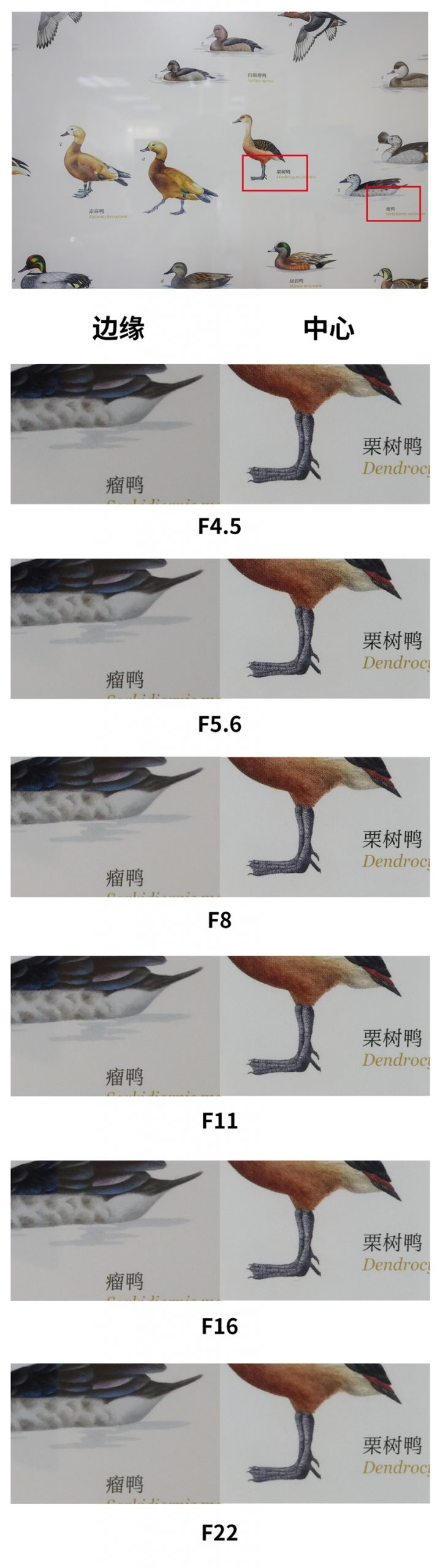 佳能RF10-20mm F4 L IS STM评测——小巧超广新境界